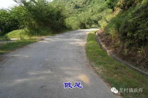 五华县最新爆料新闻,揭秘当地民生热点事件！