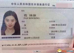 目前最新通行证爆料图,图解未来出行新趋势