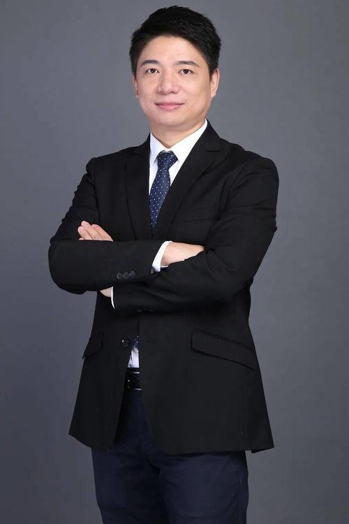 深圳最新爆料陈磊,揭秘行业变革与创新动向