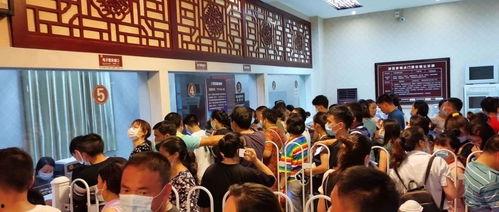 咸宁今日爆料最新消息视频,视频揭露惊人真相！