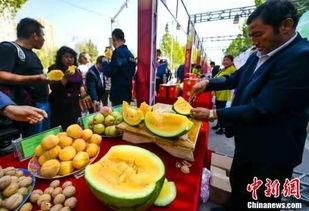 天津最新吃瓜爆料事件,神秘事件背后真相揭晓